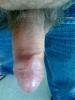 post-63843-1240238608_thumb.jpg