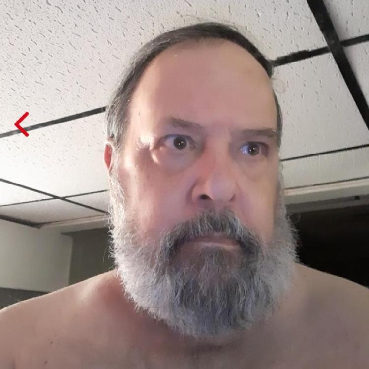 iivlo8nlmuhn699vtrfrqk6rvn3161rm-profile-pic.jpeg